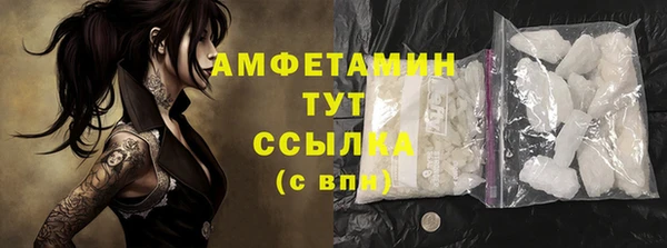 гашик Вяземский