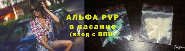 гашик Вяземский