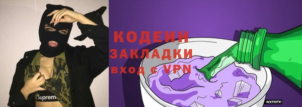 гашик Вяземский