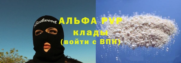 гашик Вяземский