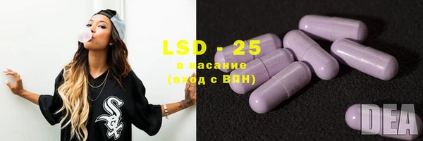 гашик Вяземский