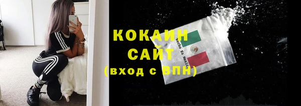 гашик Вяземский