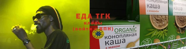 гашик Вяземский