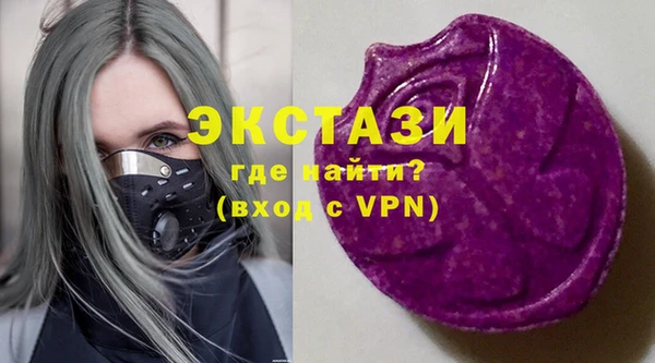 гашик Вяземский